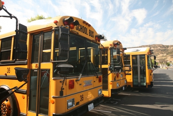 Bus Drivers Unite for Strong Representation at Local 633